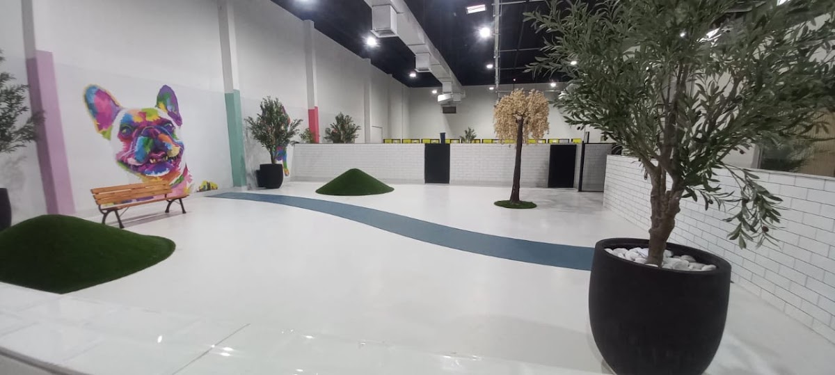 Fitout Squad Interior & Contracting LLC project photo