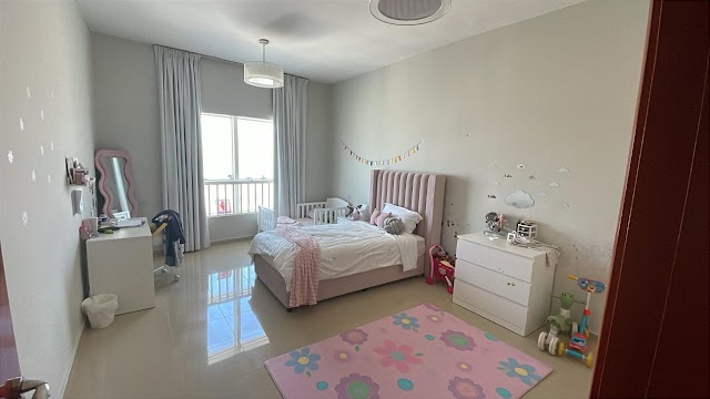 Experts villa panting service in ae